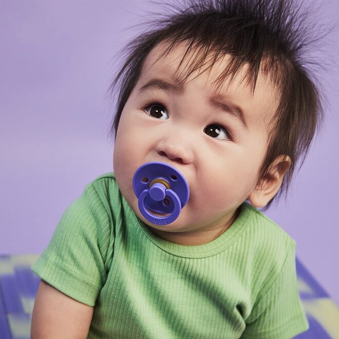 BIBS | Colour Single Speen Grape Size 2