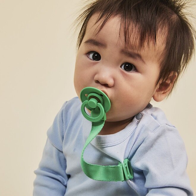 BIBS | Colour Single Speen Cactus Size 2