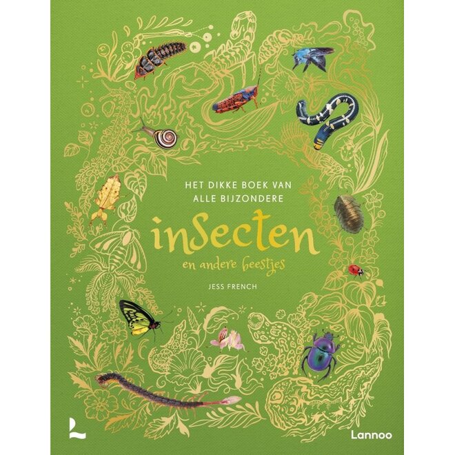 Het dikke boek van alle bijzondere insecten en andere beestjes | Jess French