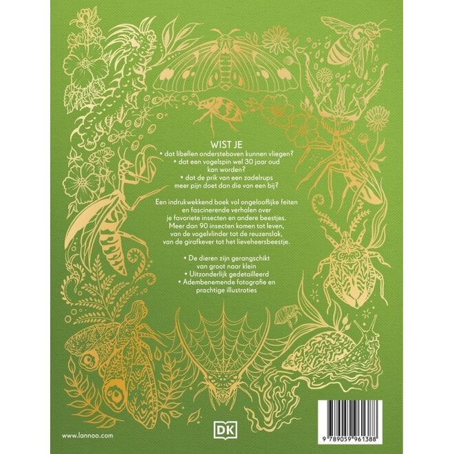 Het dikke boek van alle bijzondere insecten en andere beestjes | Jess French