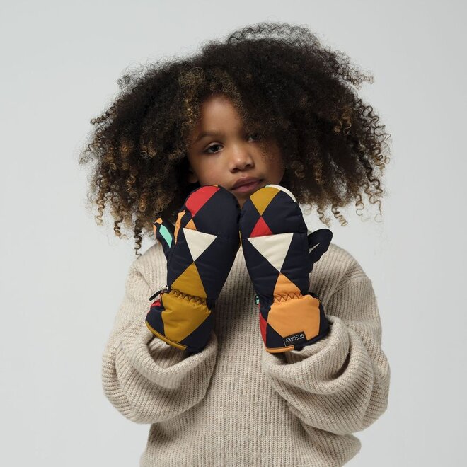 Gosoaky | Chief Sheep Handschoenen Rainbow Argyle