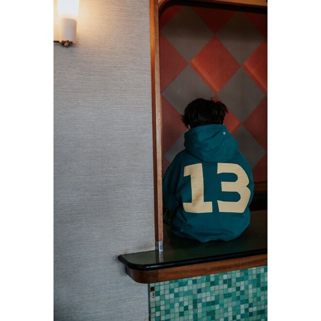 Repose ams | Hoodie Forest Scout