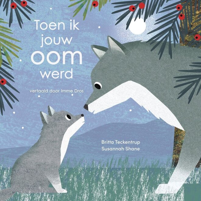 Toen ik jouw oom werd | Britta Teckentrup