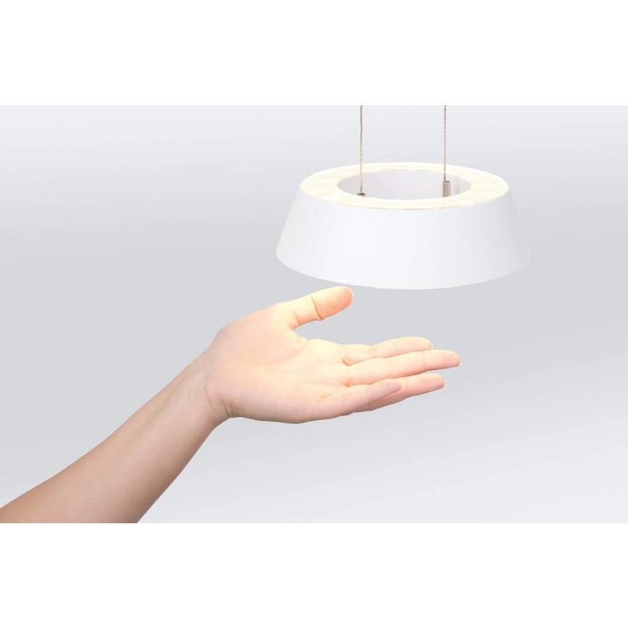 Dimbare 1-lichts hanglamp Glance met geïntegreerde LED