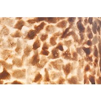 VillaFlor Vloerlamp Wangi Gold | Capri Medium