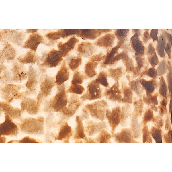 VillaFlor Vloerlamp Wangi Gold | Apollo H 150 cm