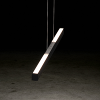 In hoogte verstelbare en 'Dim to Warm' dimbare hanglamp Xena L met geïntegreerde LED - Lengte 160 cm