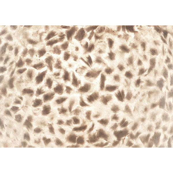 VillaFlor Vloerlamp Wangi White | Cilinder H 200 cm
