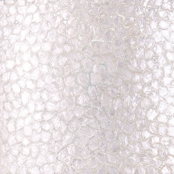 VillaFlor Vloerlamp Wangi White | Cilinder H 200 cm