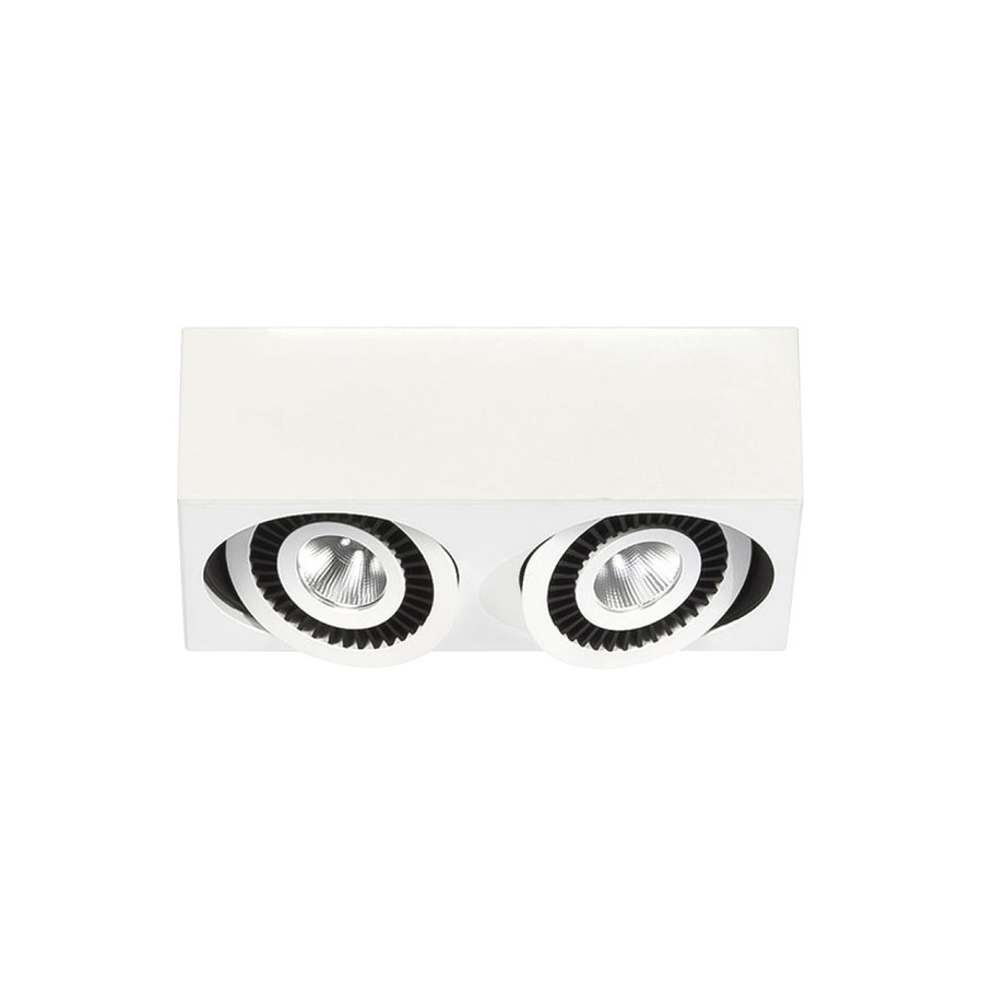 Kantelbare, draaibare én dimbare 2-lichts opbouwspot Eye met geïntegreerde LED