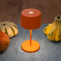 Dimbare, draagbare en oplaadbare tafellamp Olivia Mini met geïntegreerde LED