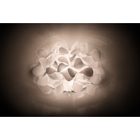 Wandlamp Clizia Mama non Mama | Applique