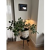Catellani & Smith Snoerloze en 3-staps dimbare vloerlamp Giulietta BE F met geïntegreerde LED