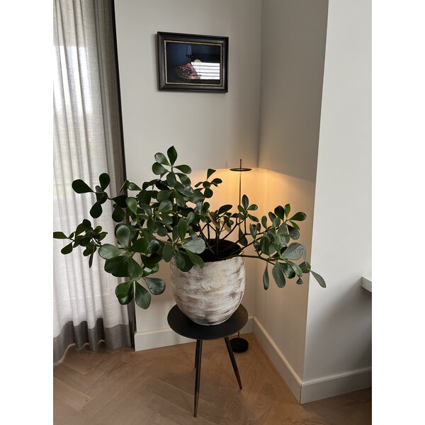 Catellani & Smith Snoerloze en 3-staps dimbare vloerlamp Giulietta BE F met geïntegreerde LED