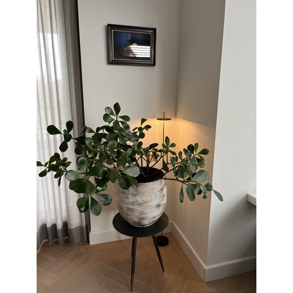 Catellani & Smith Snoerloze en 3-staps dimbare vloerlamp Giulietta BE F met geïntegreerde LED