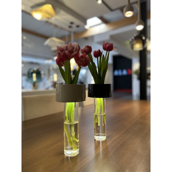 Foscarini 3-staps dimbare en oplaadbare tafellamp Fleur met geïntegreerde LED