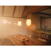 Grau 'Sunset' dimbare 1-lichts hanglamp Sun met geïntegreerde LED