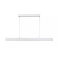 Lucide Dimbare hanglamp Raya met geïntegreerde LED