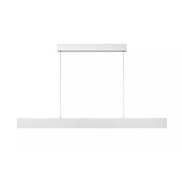 Lucide Dimbare hanglamp Raya met geïntegreerde LED