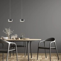 Holtkötter In hoogte verstelbare en 'Dim to Warm' dimbare 2-lichts hanglamp Favor met geïntegreerde LED