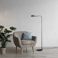 Holtkötter 'Dim to Warm' dimbare vloerlamp Type S met geïntegreerde LED