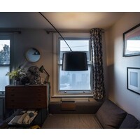 Foscarini Plafondlamp Twiggy