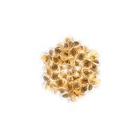 Slamp Wand-plafondlamp Clizia Mini