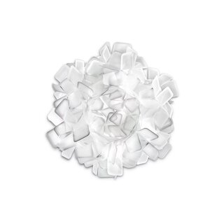 Clizia Medium 