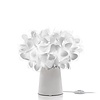 Slamp Tafellamp Clizia