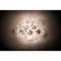 Slamp Wandlamp Clizia Applique