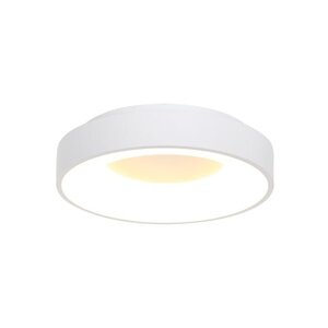 Steinhauer Dimbare plafondlamp Ringlede met geïntegreerde LED | Ø 38 cm x H 9 cm