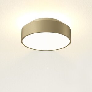 Artdelight Dimbare plafondlamp Chicago Ø 25 cm met geïntegreerde LED