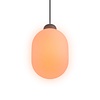 Grau 'Sunset' dimbare 1-lichts hanglamp Sun met geïntegreerde LED