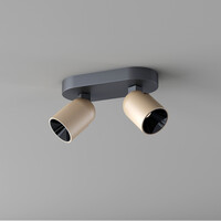 Artdelight Kantelbare, draaibare en dimbare 2-lichts opbouwspot Houston met geïntegreerde LED