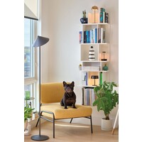 Dimbare, draagbare en oplaadbare vloerlamp Pina XXL met geïntegreerde LED Zafferano Dimbare, draagbare en oplaadbare vloerlamp Pina XXL met geïntegreerde LED