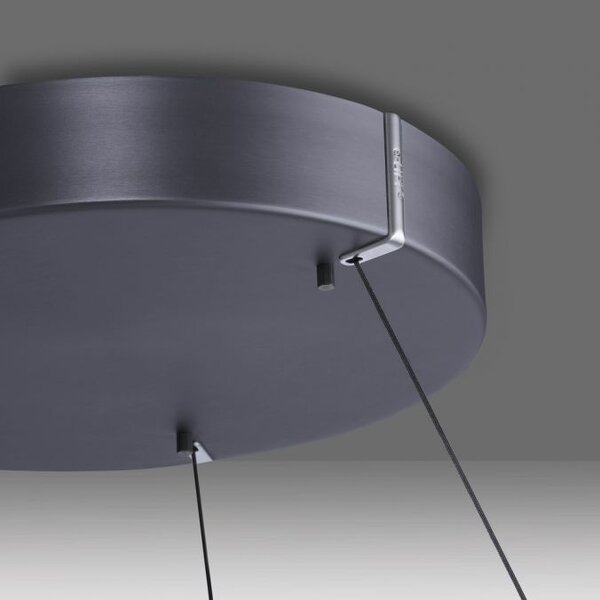Neuhaus Pure In hoogte verstelbare én dimbare hanglamp Pure E-Loop Ø 50 cm met geïntegreerde LED