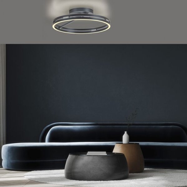 Dimbare plafondlamp Pure Loop met geïntegreerde LED Neuhaus Pure Dimbare plafondlamp Pure Loop met geïntegreerde LED