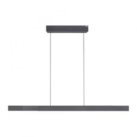 Neuhaus Pure In hoogte/lengte verstelbare en dimbare hanglamp Pure Moto-Rise met geïntegreerde LED