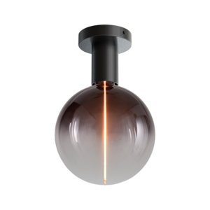 Masterlight 1-lichts plafondlamp Tence - zwart