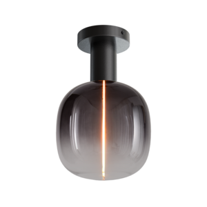 Masterlight 1-lichts plafondlamp Tence - zwart