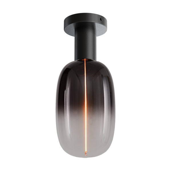 Masterlight 1-lichts plafondlamp Tence - zwart