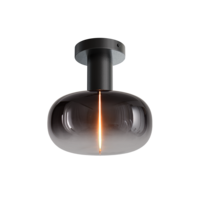 Masterlight 1-lichts plafondlamp Tence - zwart