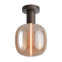 Masterlight 1-lichts plafondlamp Tence - cacaobruin