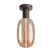 Masterlight 1-lichts plafondlamp Tence - cacaobruin