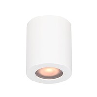 Artdelight Opbouwspot Redondo | IP54