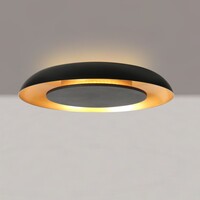 Steinhauer Dimbare plafondlamp Golden Veil met geïntegreerde LED