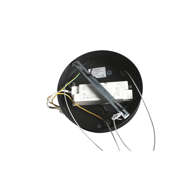 Steinhauer Dimbare hanglamp Golden Veil met geïntegreerde LED