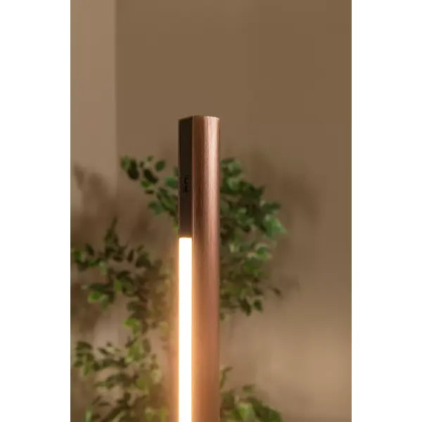 Lucide Dimbare vloerlamp Equinox met geïntegreerde LED