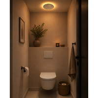 Expotrading 3-staps dimbare plafondlamp Alysia met geïntegreerde LED