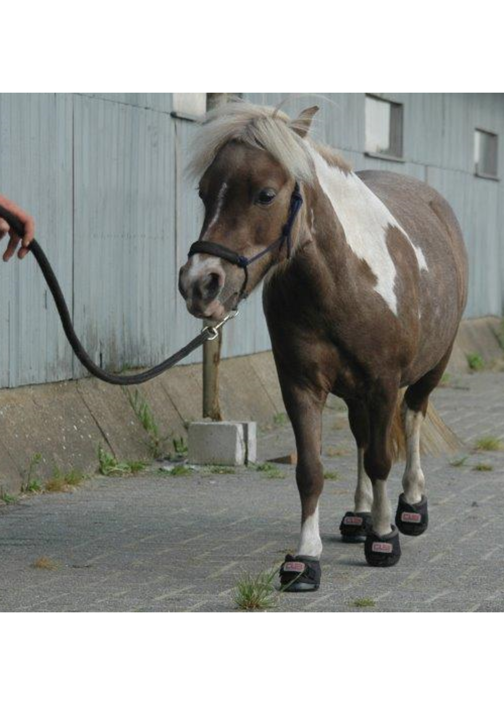 Cavallo Cavallo Cute Little hoefschoen